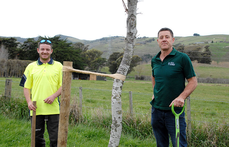 Planting Trees Christchurch - Arbor Master