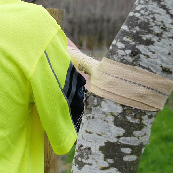 Residential & Commercial Tree Services • Arbor Master