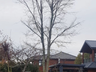 Christchurch Crowne Reductions