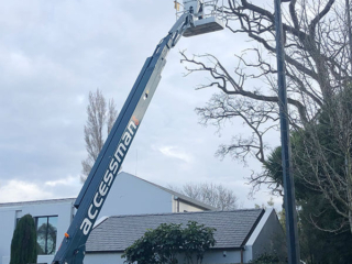 Crane tree assessing