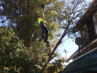 Arbor Master descending from crane