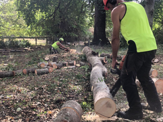 Cutting branches smaller