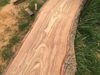 Tree trunk milling