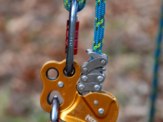 Arbor Master harness safety