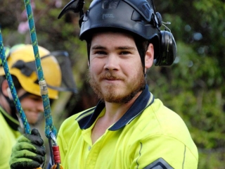 Arbor Master arborist