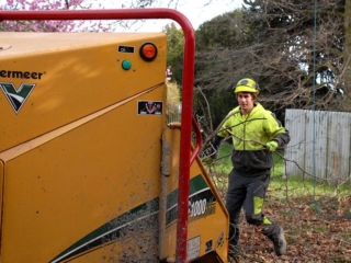 Arbor Master wood chipping