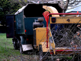 Arbor Master stick chipping