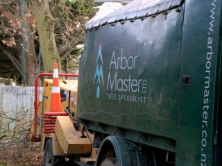 Arborist Christchurch