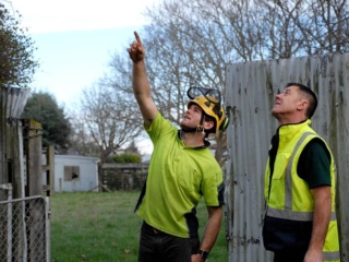 Planning tree trimming