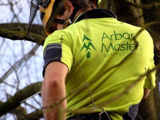 Arbor Master t-shirt logo