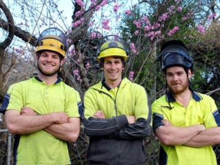 Arbor Master workers