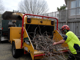 arbor-master-brush-chipping